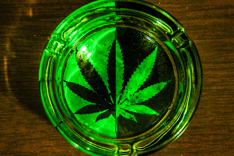 Midori-House-11-9-2023-13